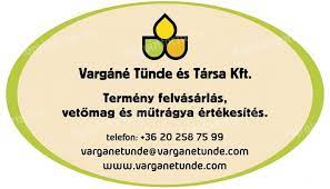 Vargáné Tünde és Társa Kft.